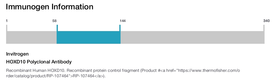 HOXD10 Polyclonal Antibody