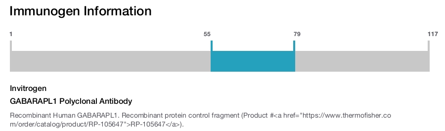 GABARAPL1 Polyclonal Antibody