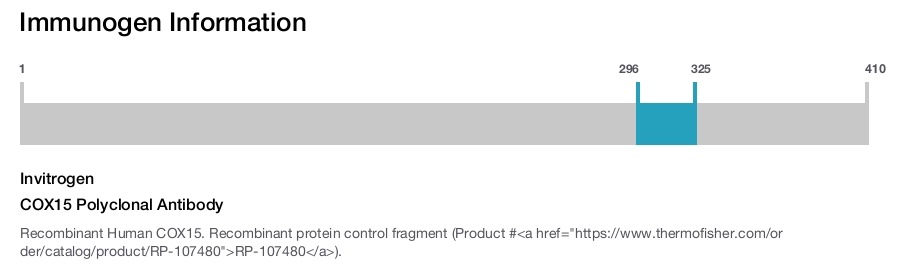 COX15 Polyclonal Antibody