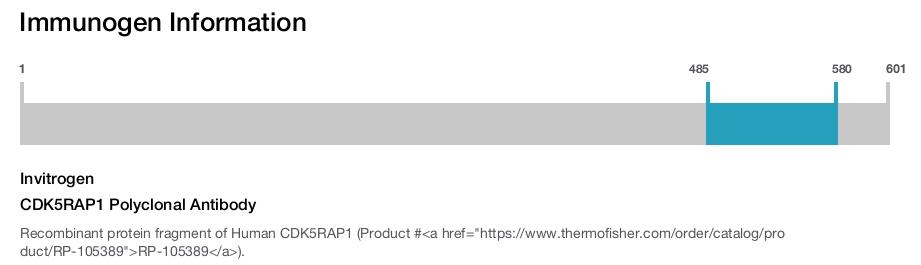 CDK5RAP1 Polyclonal Antibody