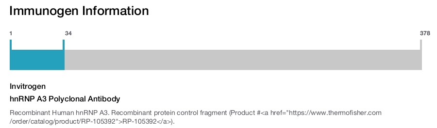 hnRNP A3 Polyclonal Antibody