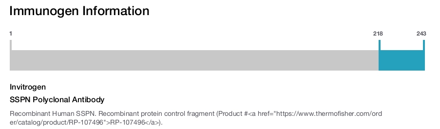 SSPN Polyclonal Antibody