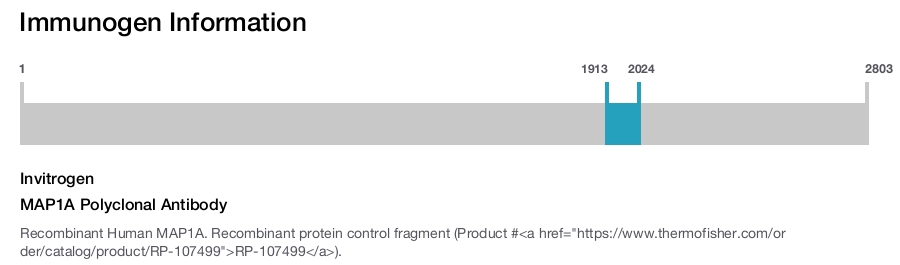 MAP1A Polyclonal Antibody