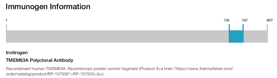 TMEM63A Polyclonal Antibody