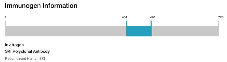 SKI Polyclonal Antibody