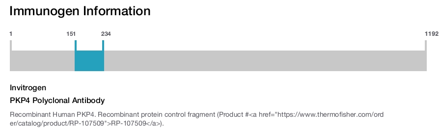 PKP4 Polyclonal Antibody