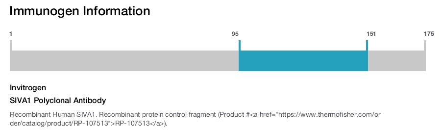 SIVA1 Polyclonal Antibody