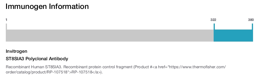 ST8SIA3 Polyclonal Antibody