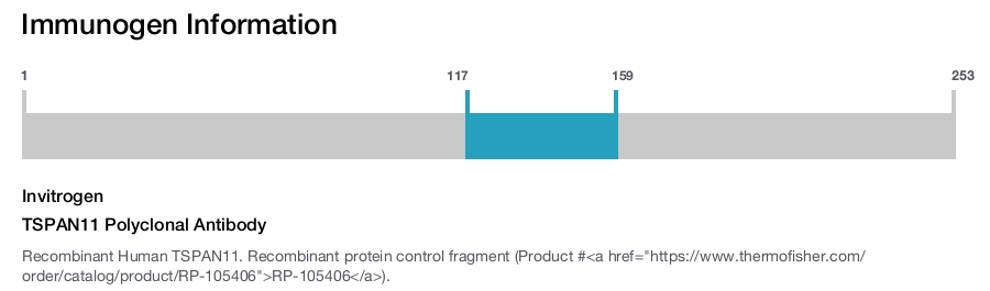 TSPAN11 Polyclonal Antibody