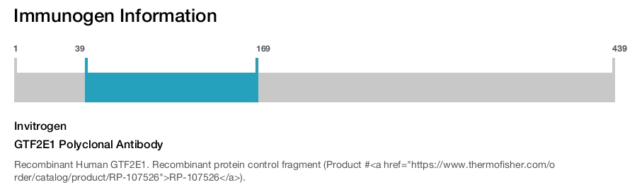 GTF2E1 Polyclonal Antibody