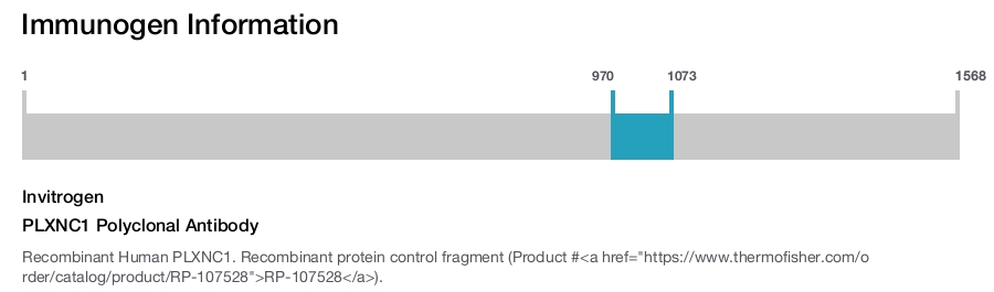 PLXNC1 Polyclonal Antibody