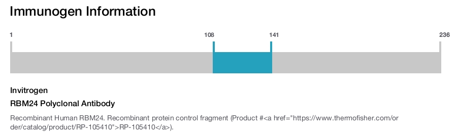 RBM24 Polyclonal Antibody
