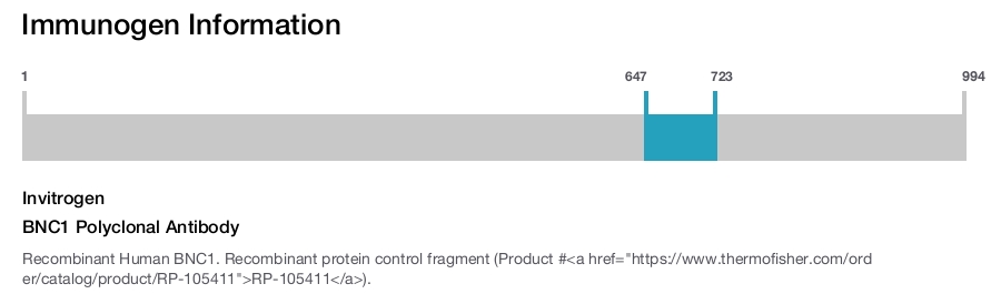 BNC1 Polyclonal Antibody