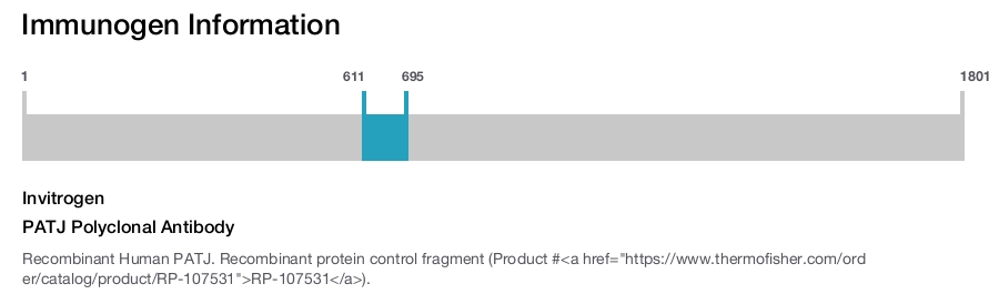 PATJ Polyclonal Antibody