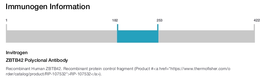 ZBTB42 Polyclonal Antibody