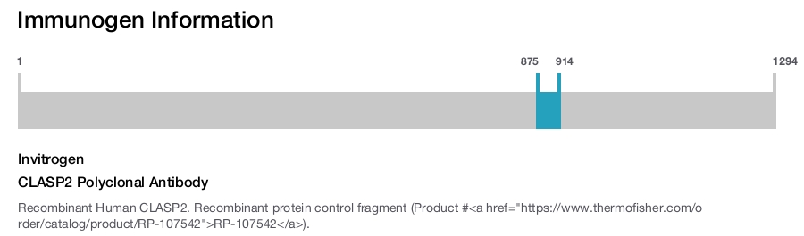 CLASP2 Polyclonal Antibody