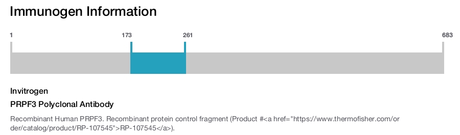 PRPF3 Polyclonal Antibody