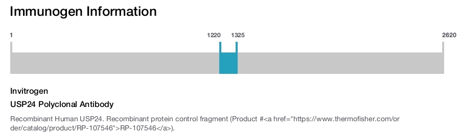 USP24 Polyclonal Antibody