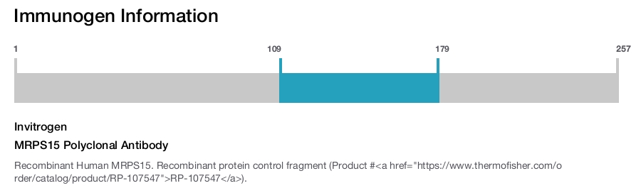 MRPS15 Polyclonal Antibody