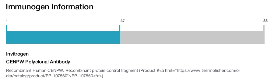 CENPW Polyclonal Antibody