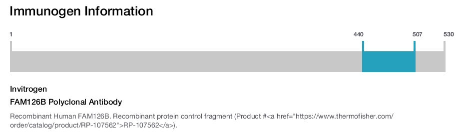 FAM126B Polyclonal Antibody