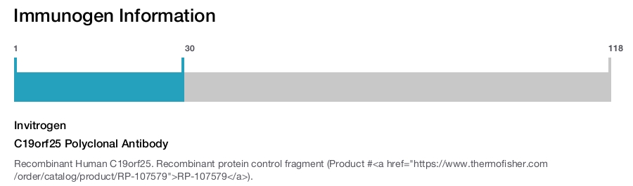 C19orf25 Polyclonal Antibody