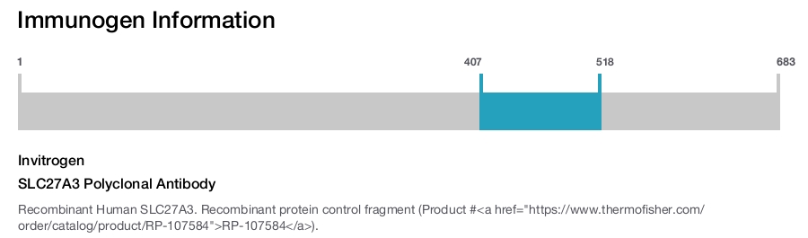 SLC27A3 Polyclonal Antibody