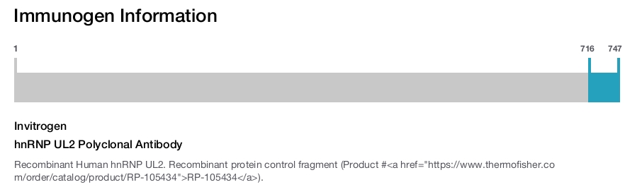 hnRNP UL2 Polyclonal Antibody