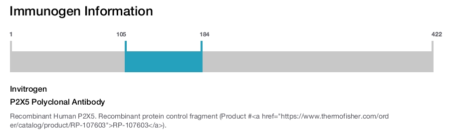 P2X5 Polyclonal Antibody