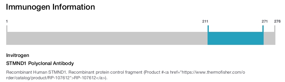 STMND1 Polyclonal Antibody