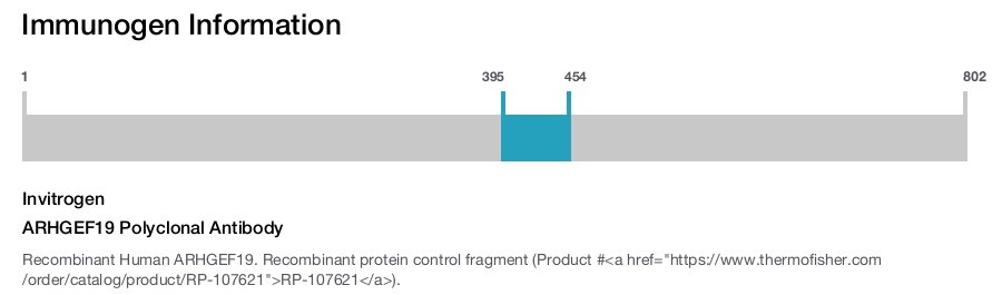 ARHGEF19 Polyclonal Antibody