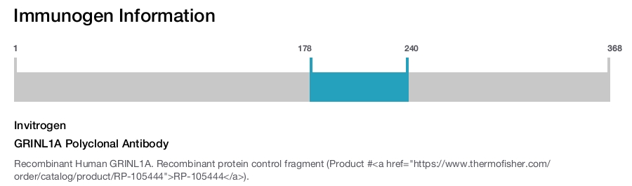 GRINL1A Polyclonal Antibody