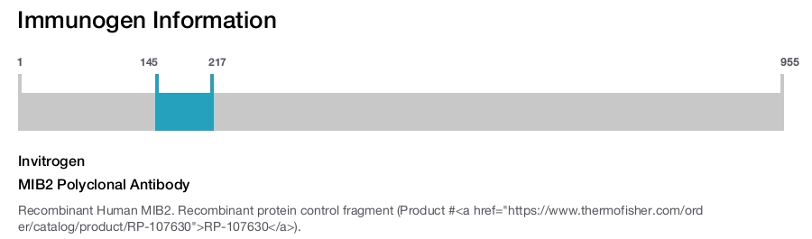 MIB2 Polyclonal Antibody