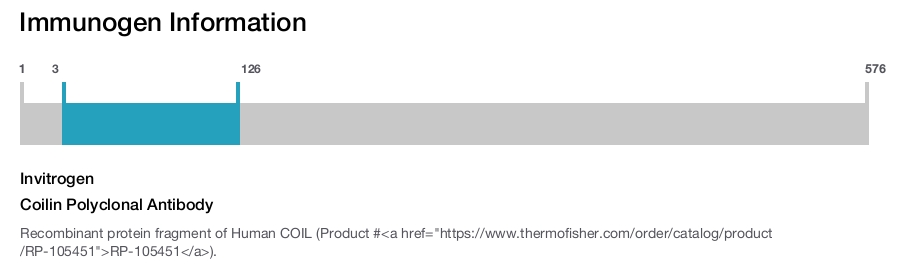 Coilin Polyclonal Antibody