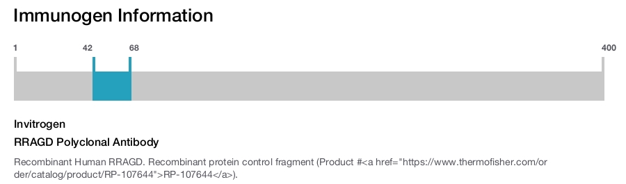 RRAGD Polyclonal Antibody