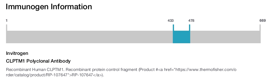 CLPTM1 Polyclonal Antibody