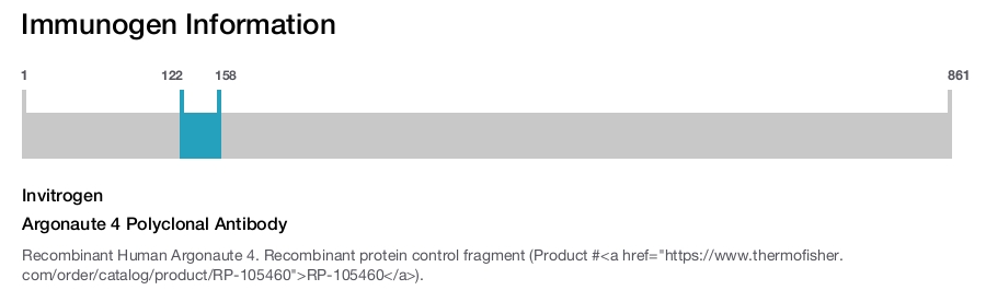 Argonaute 4 Polyclonal Antibody