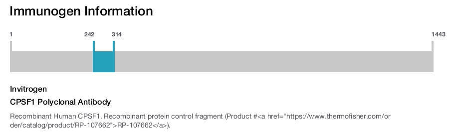CPSF1 Polyclonal Antibody