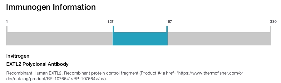 EXTL2 Polyclonal Antibody
