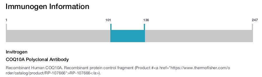 COQ10A Polyclonal Antibody