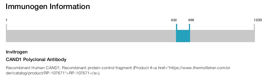 CAND1 Polyclonal Antibody