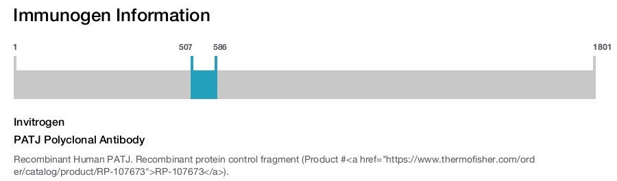 PATJ Polyclonal Antibody