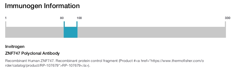 ZNF747 Polyclonal Antibody