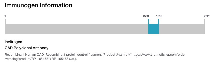 CAD Polyclonal Antibody