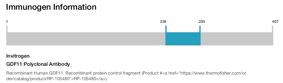 GDF11 Polyclonal Antibody