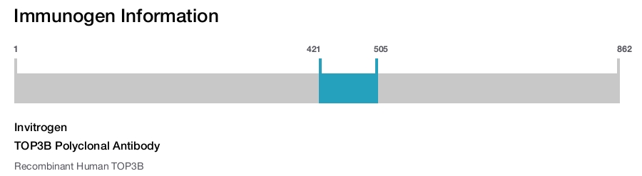 TOP3B Polyclonal Antibody