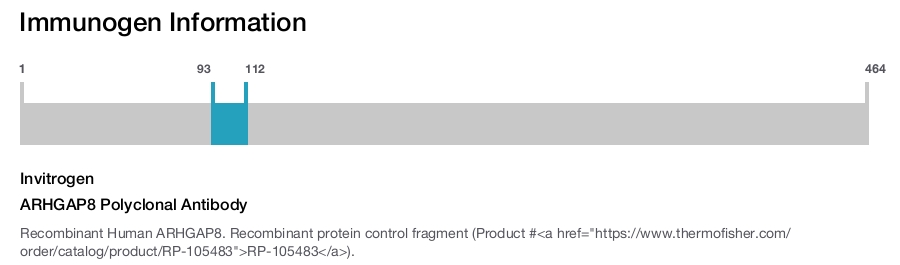 ARHGAP8 Polyclonal Antibody