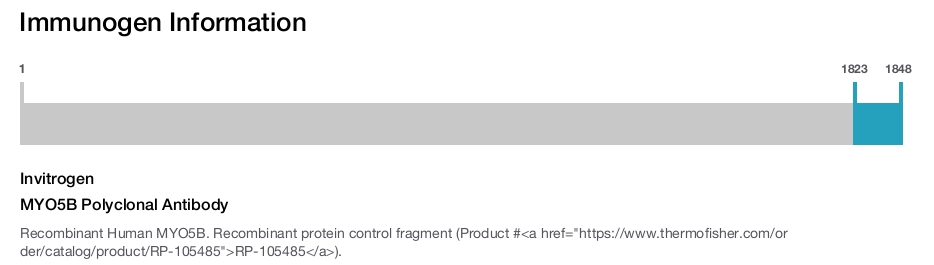 MYO5B Polyclonal Antibody