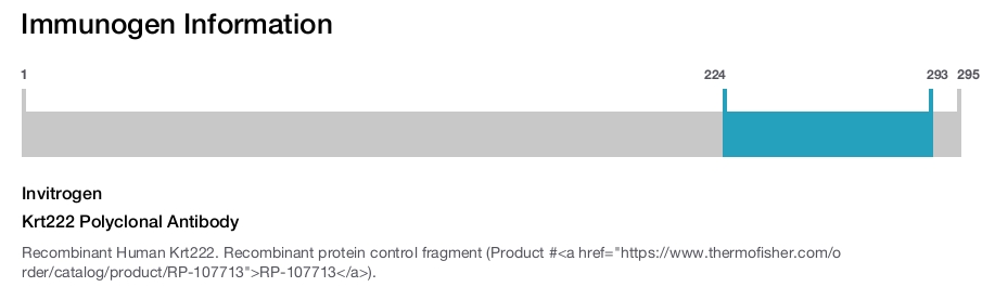 Krt222 Polyclonal Antibody