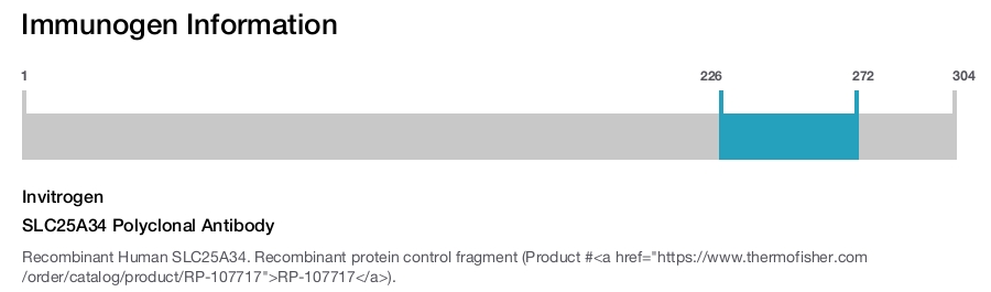 SLC25A34 Polyclonal Antibody